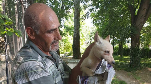 Във варненския зоопарк се роди бял вълк