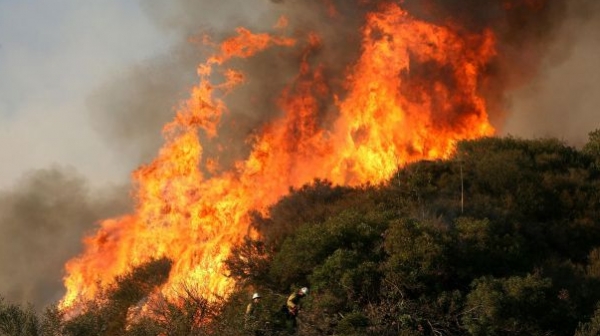 94 са жертвите на летните пожари в Гърция