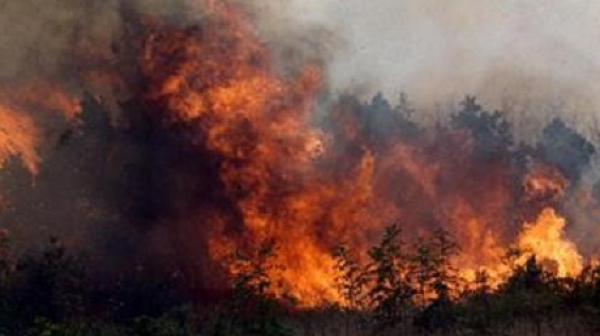 Опасност от пожари в 12 области на страната