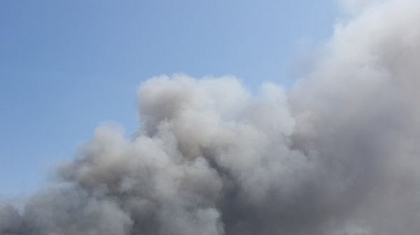 Самолет се разби при гасенето на пожара в Португалия