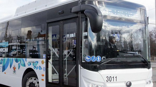 Тръгва автобус №166 до Витошко лале от днес до края на октомври