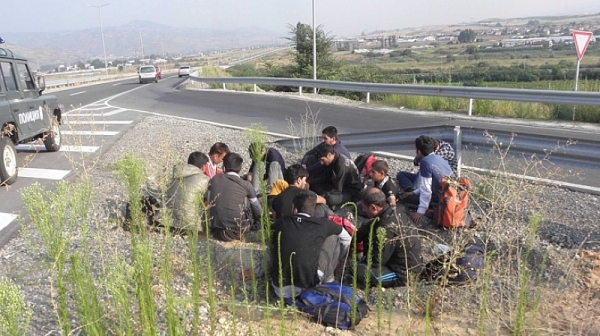 Алгафари пред Фрог:  Никой не иска да превежда на бежанците