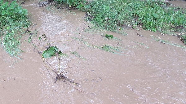 Проливен дъжд удави 100 души в Кения