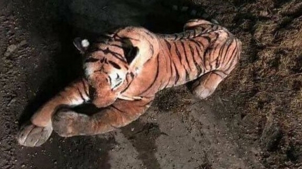 Спецакция на британската полиция срещу плюшен тигър