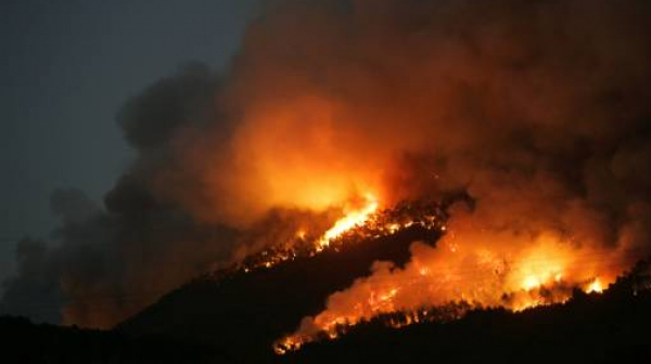 Пожар изпепели огромна площ и къщи в Южна Франция