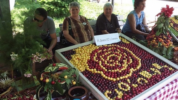 Кюстендил празнува черешите, а Котел - килимите