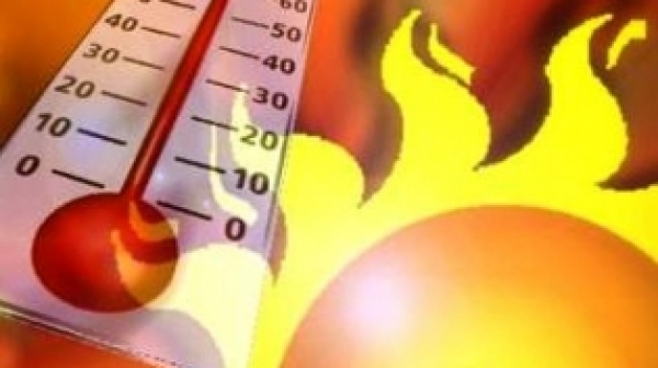 В Австралия 42 градуса, умират от жега