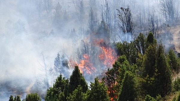 Пожарът в Гърция – подозират умишлен палеж