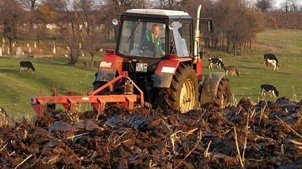 Брюксел ще намали парите за бг- фермерите