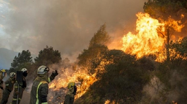 Българка е пострадала при пожарите в Гърция