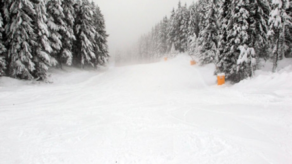Ски-курортите ни сред най-добрите в Европа