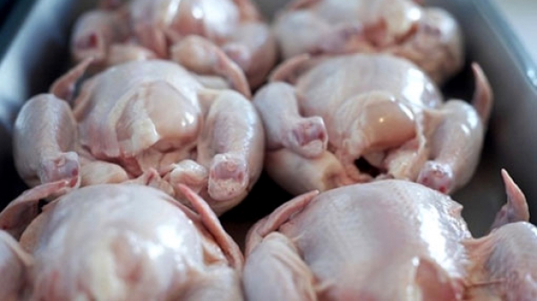 МЗ: Не яжте  полусурови птиче месо и яйца заради птичия грип
