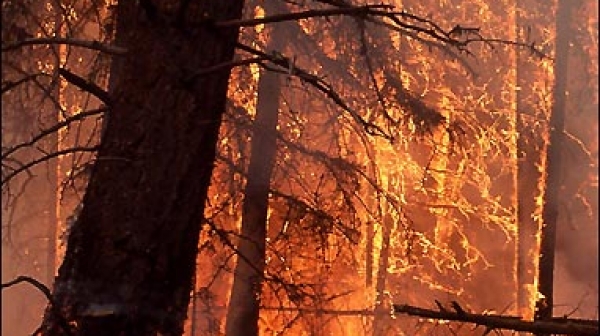 Стотици декари все още горят край Кресна