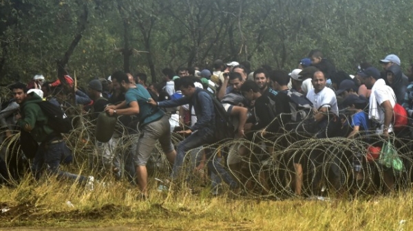 Бежанци нападнаха босненски полицаи на границата с Хърватия