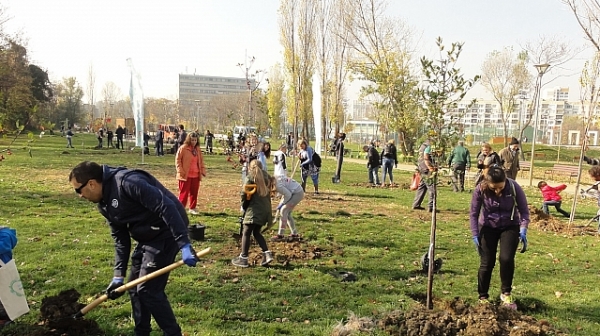 Нови 64 дървета засадиха доброволци в парк ”Възраждане” в София