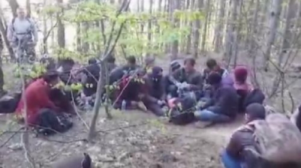 Турските служби  заловиха 29 мигранти, които искали да влязат нелегално в България