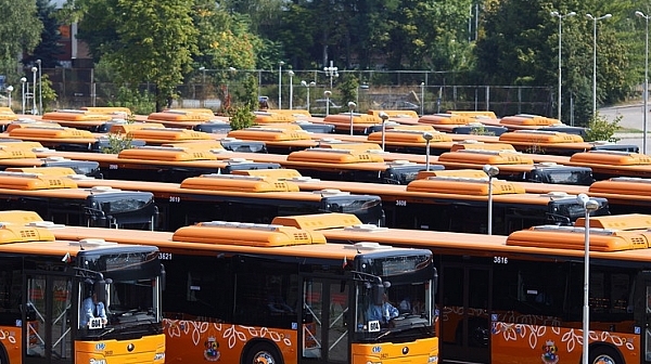 Напролет в София тръгват нощни автобуси