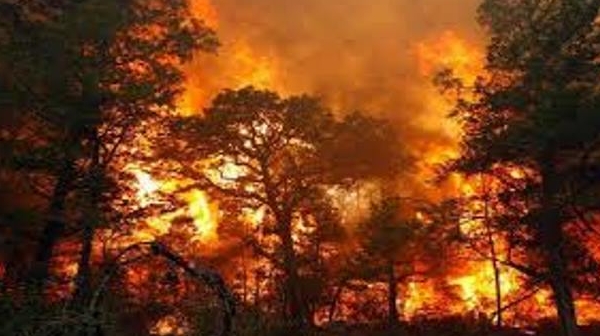 134 пожара бушуват на различни места в страната