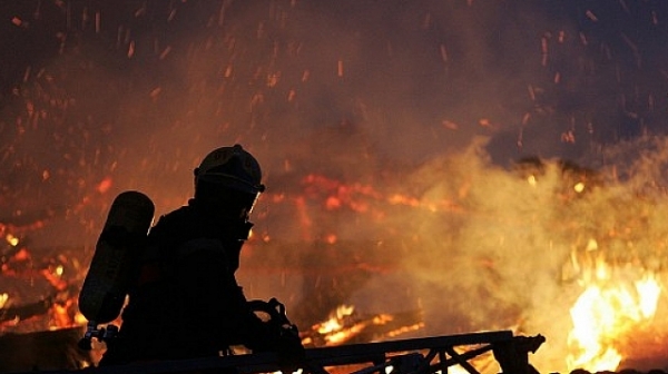 Пожар бушува в Националния музей на Бразилия