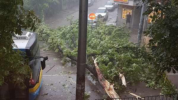 Буря парализира Плевен, Кърджали, Враца и Варна