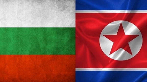 Северна Корея и България - истинските световни шампиони по футбол