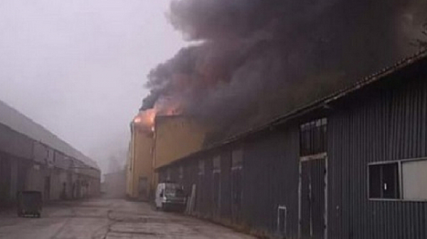 Пожар изпепели промишлен цех за пакетиране на месо в Плевен