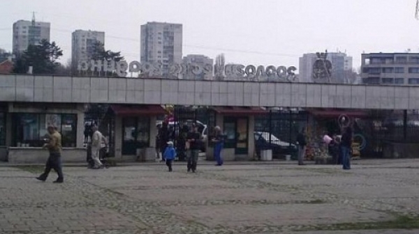 Зоопаркът в София затваря врати заради птичи грип