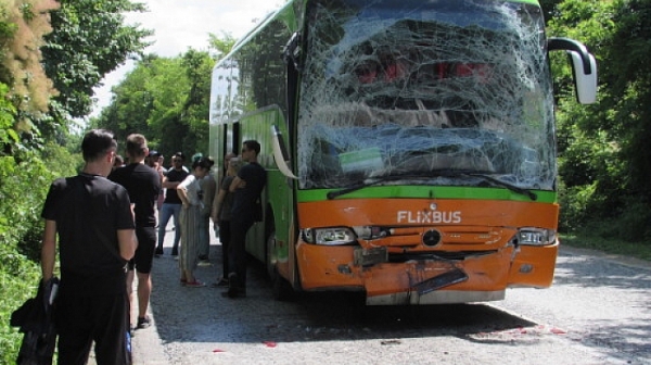 Два автобуса се удариха на пътя Русе – Бяла