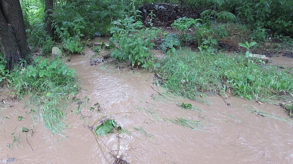 Водата съсипа хиляди декари посеви в Бургаско