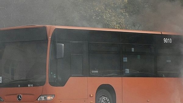 Автобус катастрофира на пътя Русе - Разград
