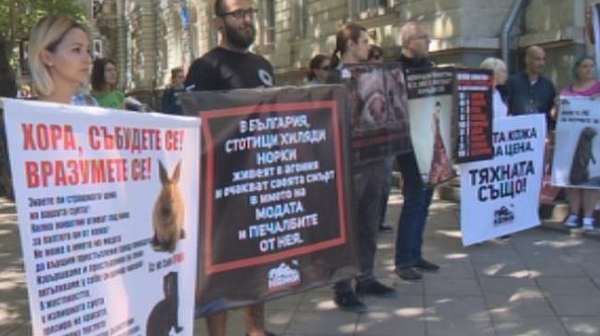 Протест пред парламента срещу добива на кожи от животни