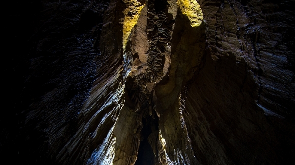 Наш учен откри нов вид животно в туркменистанските пещери