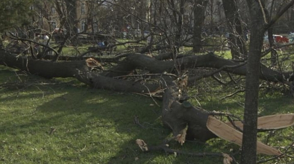 6 аварийни екипа са реагирали на близо 50 сигнала след бурята в София