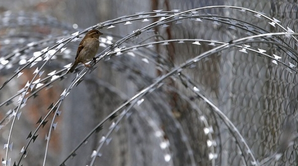 Унгария пусна ток по оградата срещу нелегални мигранти