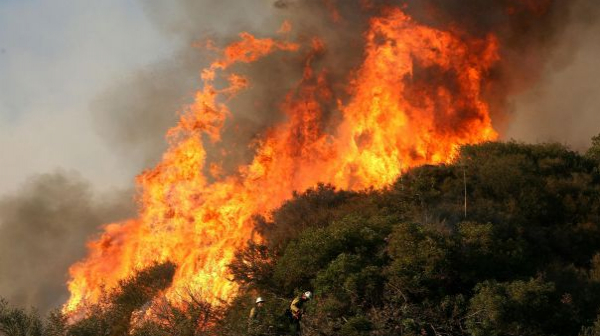 Пожар бошува в гората над Свети Влас