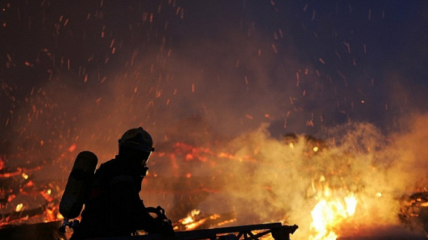 Пожар гори в района на Сухото езеро в планината Рила