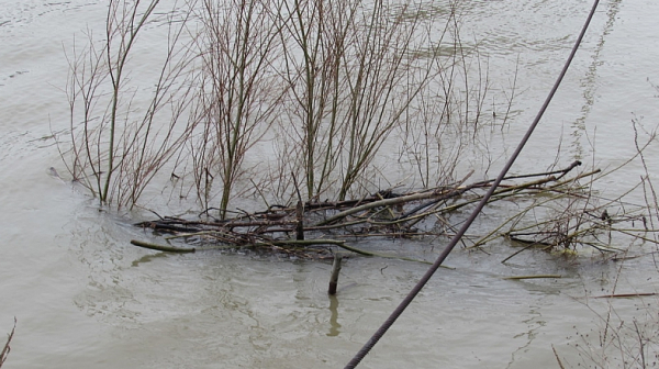 В Плевенска област обявиха първа степен на опасност зарди нивото на р. Дунав