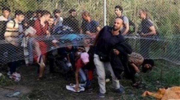 Турция приела най-много бежанци в света