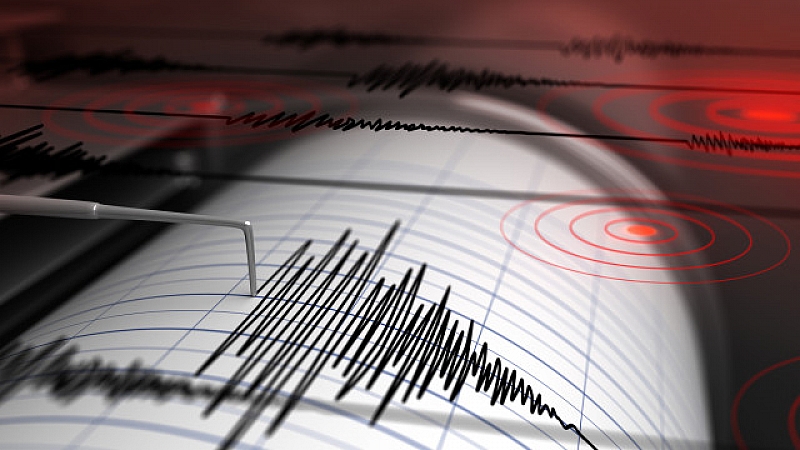Земетресение с магнитуд 6 9 бе регистрирано днес в района на