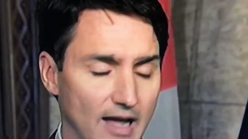 Фалшиви вежди използва канадския премиер Джъстин Трюдо По време на пресконференция
