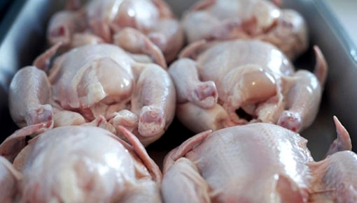 Заради зачестили случаи на птичи грип сред домашни птици в