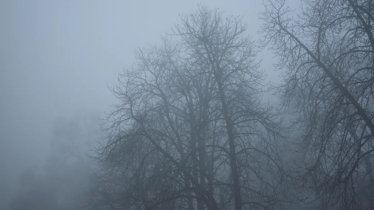 През деня облачността ще е разкъсана с по плътни облаци