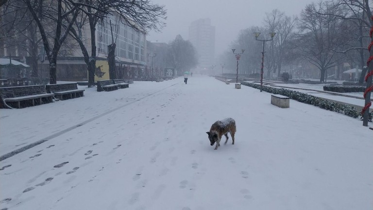 В сила е жълт код за студ в почти всички