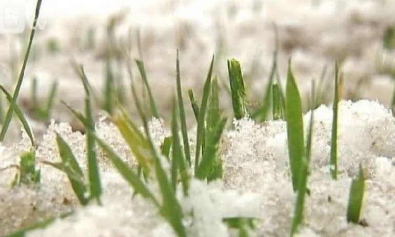 Рязкото застудяване ще започне на 1 февруари и ще засегне