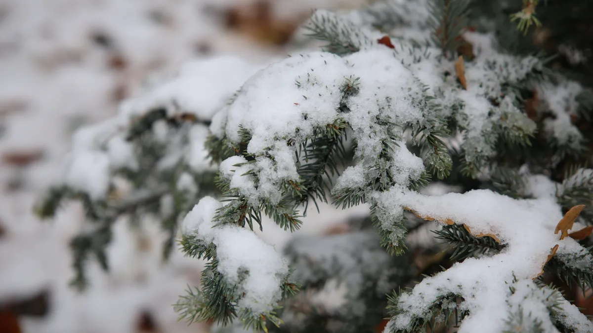 В няколко области – Велико Търново Видин Враца Габрово Ловеч
