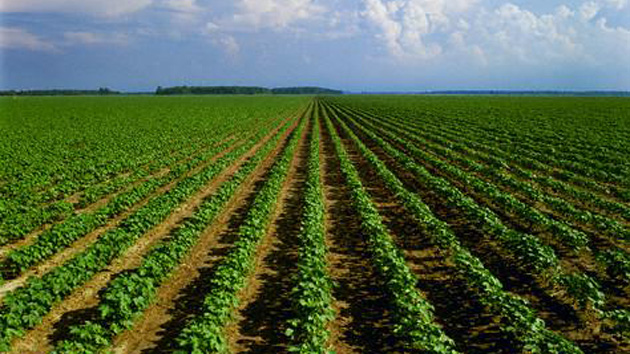 Основните фактори за спада са по високите цени на някои