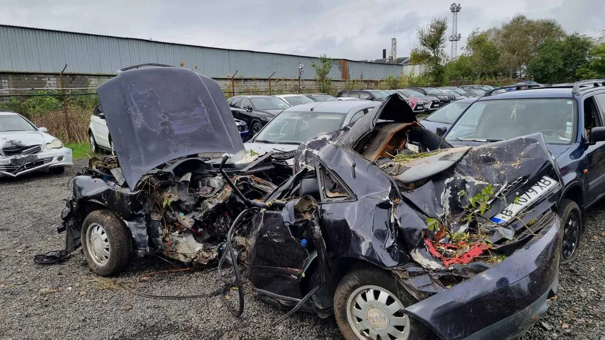 Добрата новина е че от 2019 г насам загиналите на