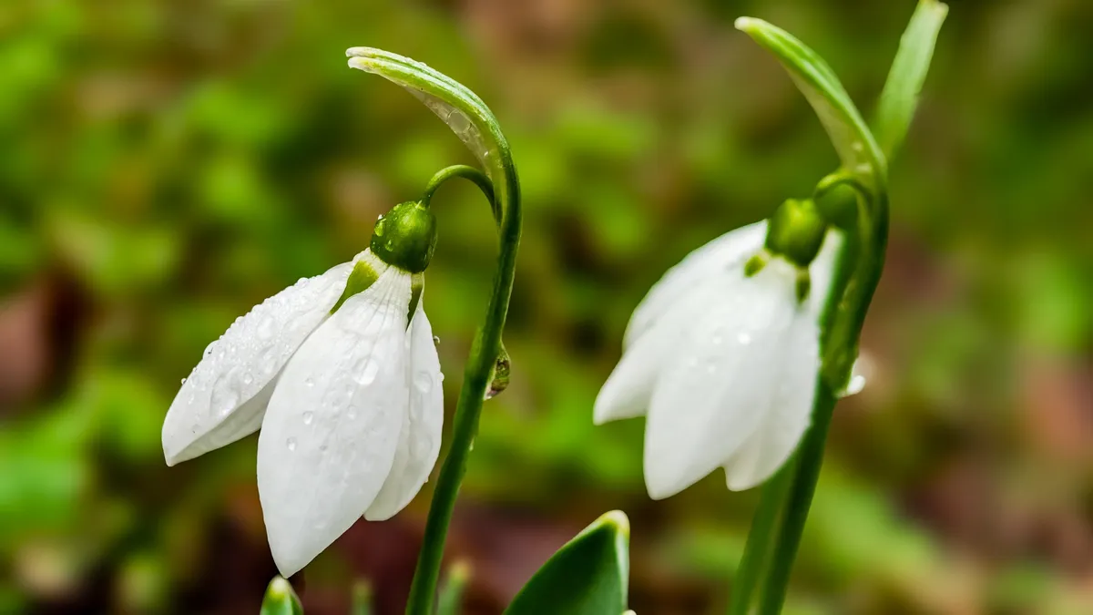 Облачността ще е разкъсана вятърът ще се обърне от юг