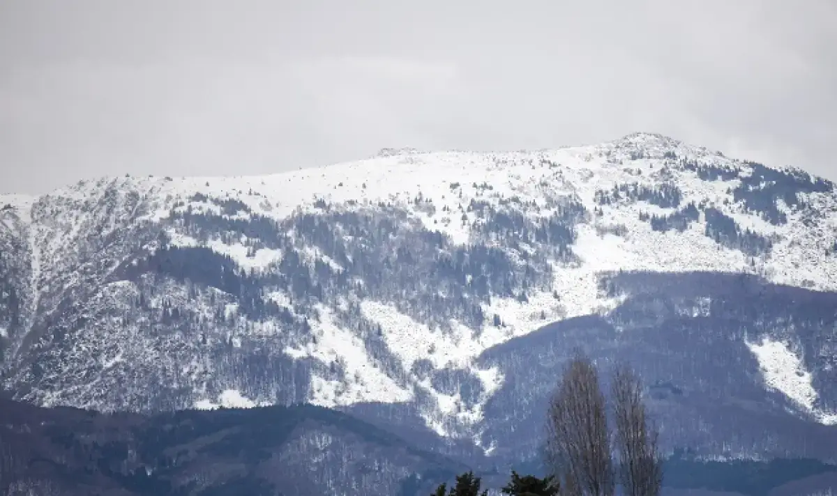 Последно е бил забелязан край Мазалат като е споделил че