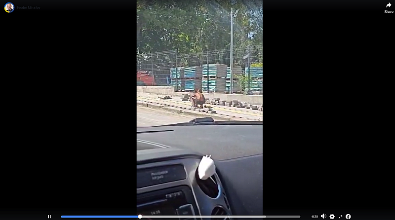 На видеото заснето на столичния булевард Цар Борис Трети се